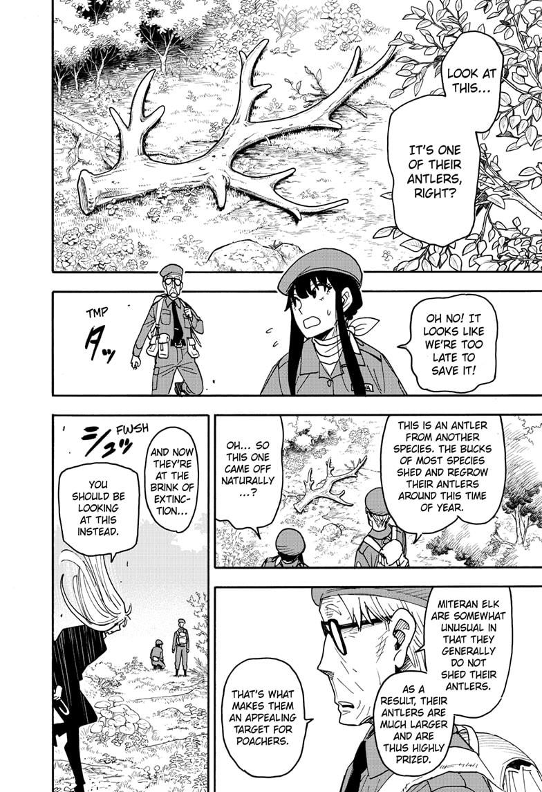 SPY x FAMILY Chapter 116 8